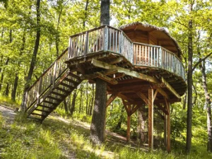 Treehouse na kraji Brna: ubytování v souladu s přírodou i možnost únikové šifrovací hra pro zábavu