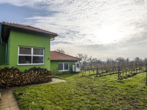 Pobyt v penzionu rodinného vinařství pro páry i skupiny vč. vína nebo degustace