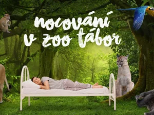 S rodinou za zážitky: netradiční pobyt na 1 noc v táborské zoo
