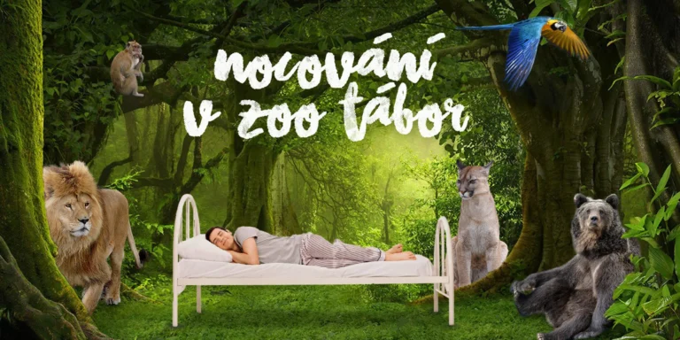 S rodinou za zážitky: netradiční pobyt na 1 noc v táborské zoo