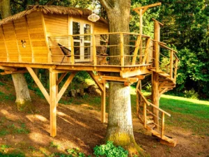 Pobyt se snídaní až pro 4 osoby v plně vybaveném treehousu na jihu Čech: žádné Wi-Fi, jen božský klid a sauna