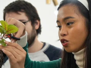 Vytvořte si vlastní terárium: skupinový workshop na pražském Smíchově
