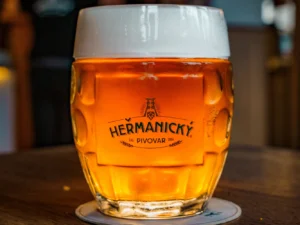 Prohlídka Heřmanického pivovaru s degustací mladých piv i jídlem pro 1 či 2 osoby