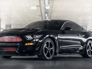Brutální jízda v Mustangu GT Shelby paket: až 60 min. vč. dálniční známky