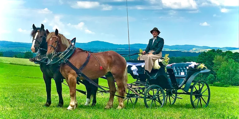 Zážitky na farmě: krmení, jízda na koni, procházky se zvířátky i jízda kočárem