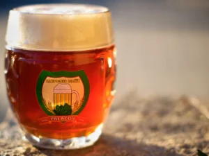 Prohlídka minipivovaru Paličák s degustací i jídlem pro 1 nebo 2 osoby