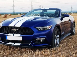 Nadupaný Ford Mustang Cabrio: zapůjčení na 15–60 minut nebo až celý den