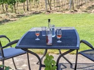 Vinaři, zbystřete: řízená degustace 6 vzorků vín i možnost neomezené konzumace