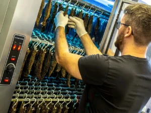Dvouhodinový kurz sušení masa: jerky nebo jihoafrický biltong