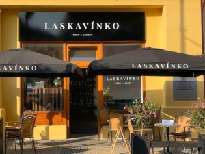Degustace vína či nealko vína a moštu vč. španělských tapas a výkladu