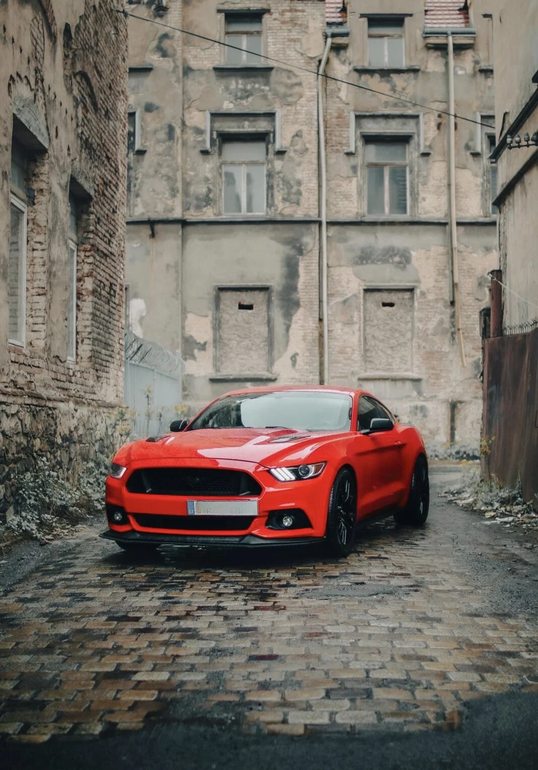 Pronájem nabušeného Fordu Mustang GT paket: 3 hod. i celý víkend - Obrázek 2