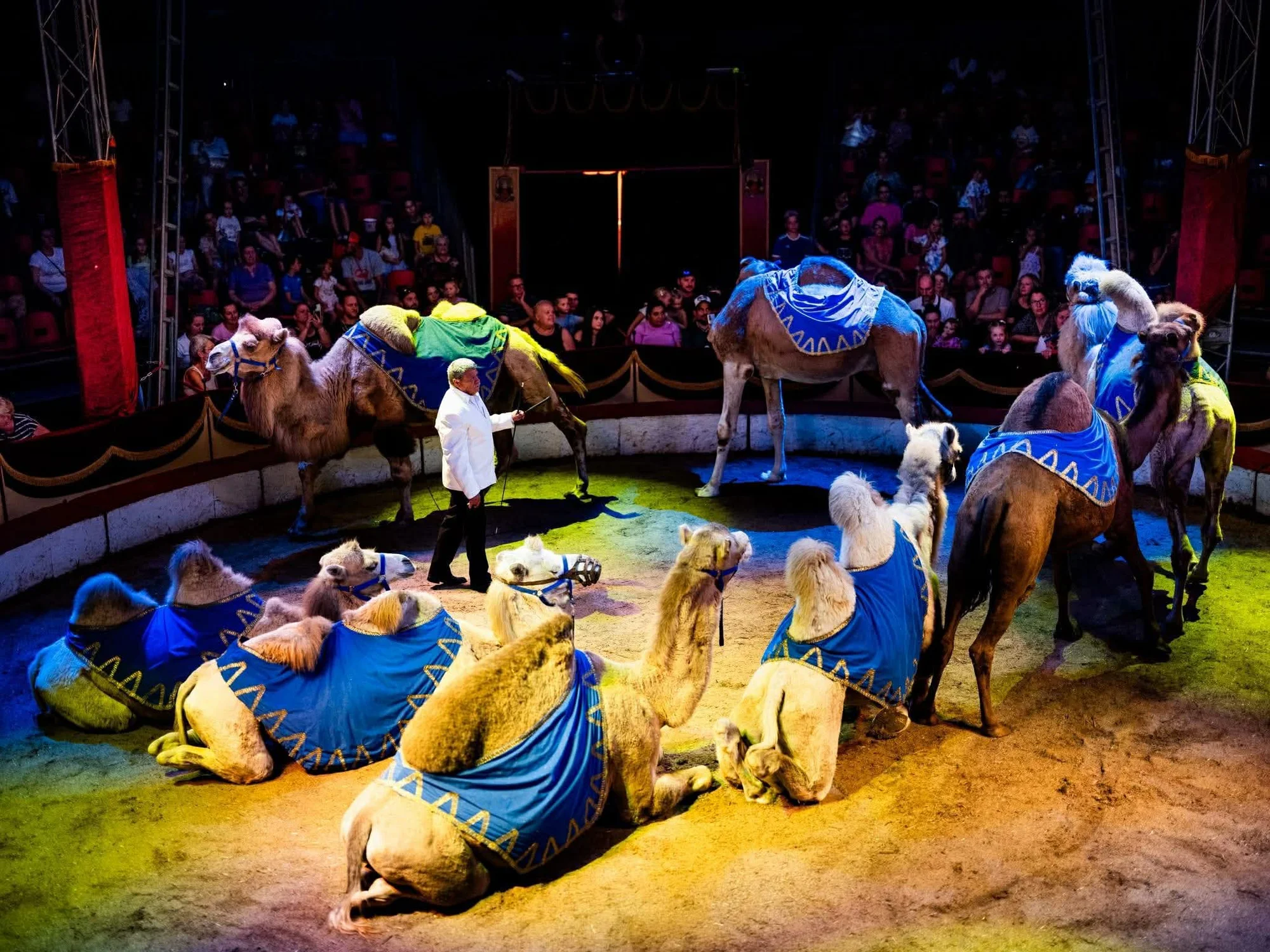 Hurá do Cirkusu Humberto na zbrusu novou show: akrobati, klauni i exotická zvířata v Letňanech - Obrázek 5