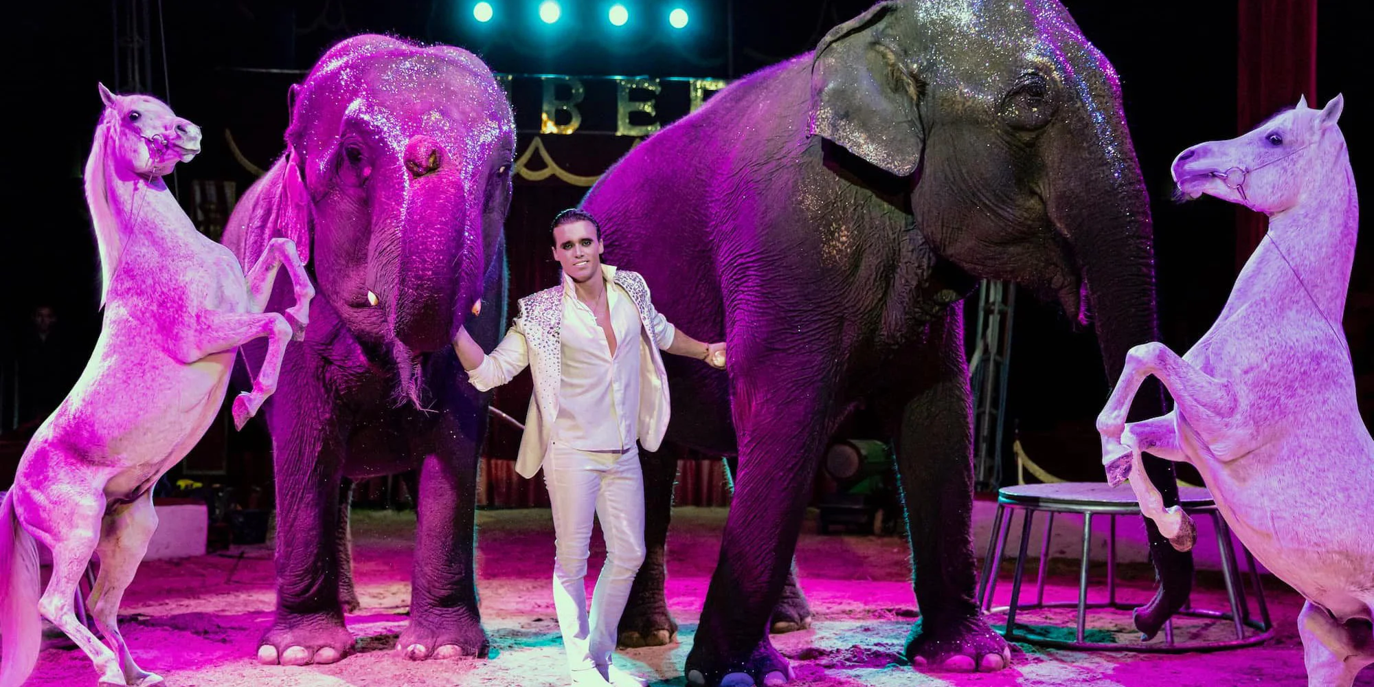 Hurá do Cirkusu Humberto na zbrusu novou show: akrobati, klauni i exotická zvířata v Letňanech - Obrázek 3
