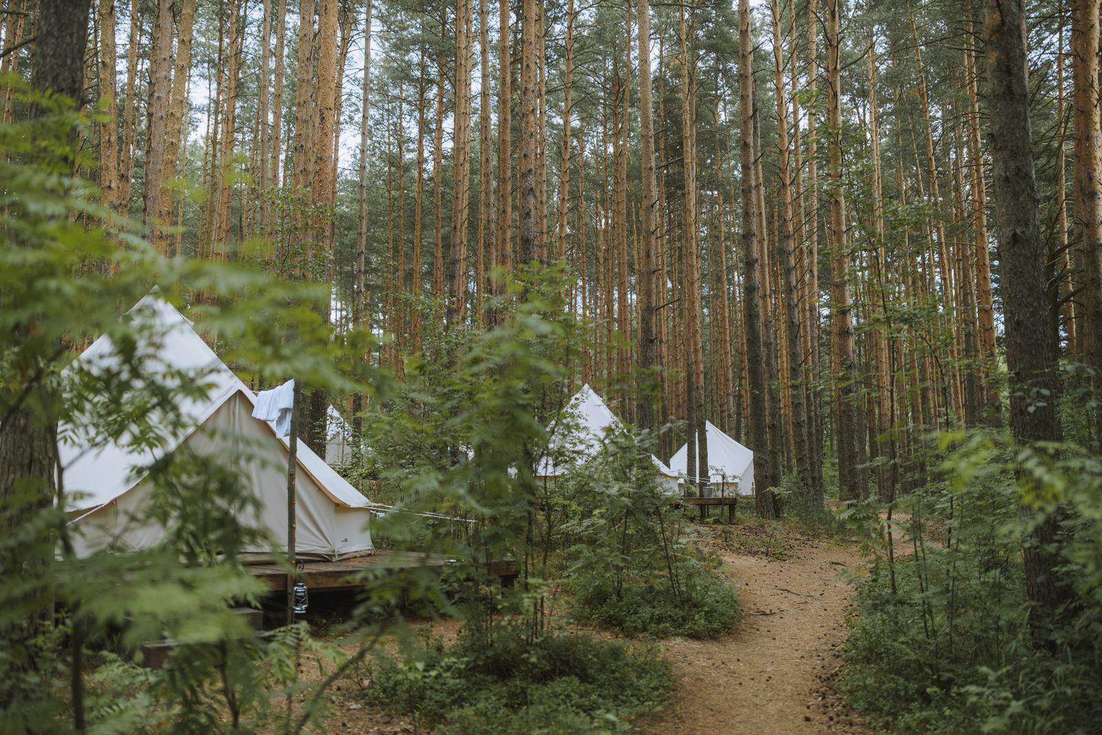 Bílé glamping stany v lese v Česku